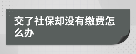 交了社保却没有缴费怎么办