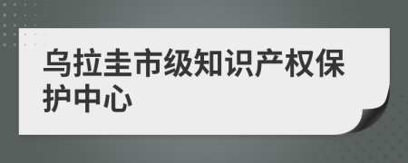 乌拉圭市级知识产权保护中心