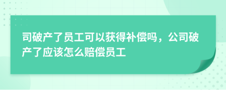 司破产了员工可以获得补偿吗，公司破产了应该怎么赔偿员工