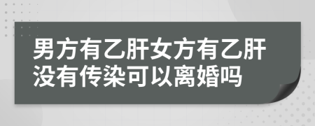 男方有乙肝女方有乙肝没有传染可以离婚吗