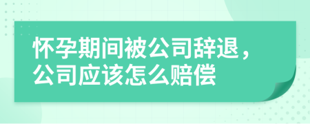 怀孕期间被公司辞退，公司应该怎么赔偿