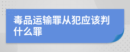 毒品运输罪从犯应该判什么罪