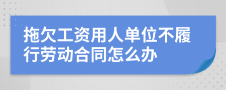 拖欠工资用人单位不履行劳动合同怎么办