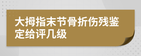 大拇指末节骨折伤残鉴定给评几级