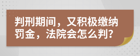 判刑期间，又积极缴纳罚金，法院会怎么判？