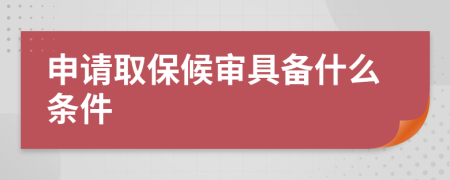 申请取保候审具备什么条件