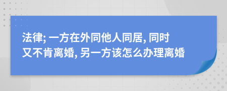 法律; 一方在外同他人同居, 同时又不肯离婚, 另一方该怎么办理离婚