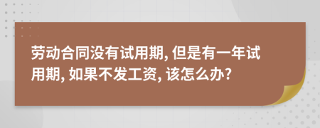 劳动合同没有试用期, 但是有一年试用期, 如果不发工资, 该怎么办?