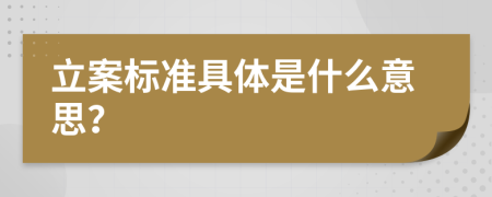 立案标准具体是什么意思？