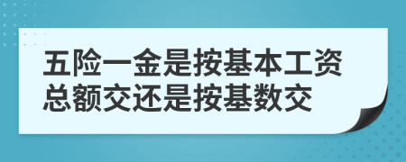 五险一金是按基本工资总额交还是按基数交