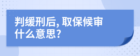 判缓刑后, 取保候审什么意思?