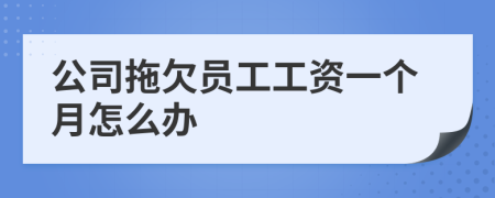 公司拖欠员工工资一个月怎么办