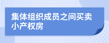 集体组织成员之间买卖小产权房