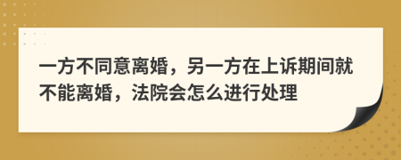 一方不同意离婚，另一方在上诉期间就不能离婚，法院会怎么进行处理