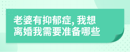 老婆有抑郁症, 我想离婚我需要准备哪些