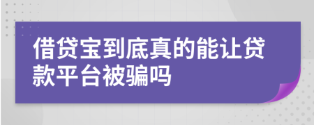 借贷宝到底真的能让贷款平台被骗吗