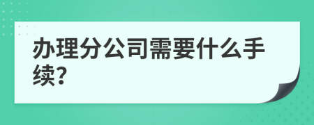 办理分公司需要什么手续？