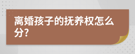 离婚孩子的抚养权怎么分?