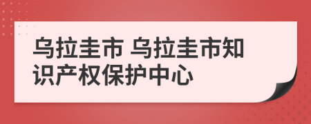 乌拉圭市 乌拉圭市知识产权保护中心