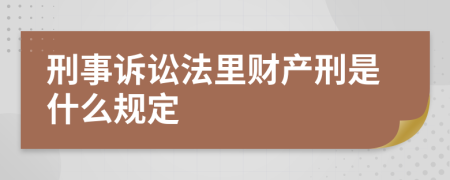 刑事诉讼法里财产刑是什么规定