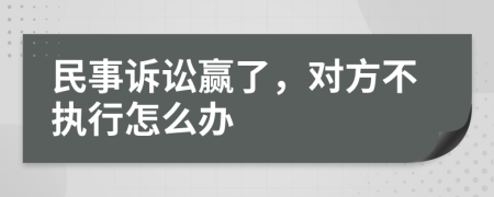 民事诉讼赢了，对方不执行怎么办