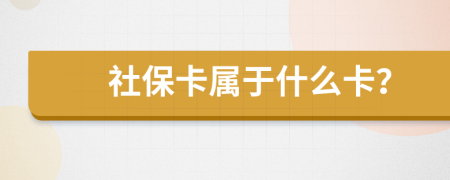 社保卡属于什么卡？