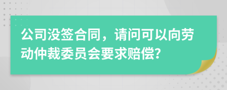 公司没签合同，请问可以向劳动仲裁委员会要求赔偿？