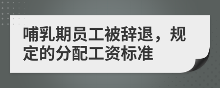 哺乳期员工被辞退，规定的分配工资标准