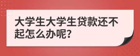 大学生大学生贷款还不起怎么办呢？