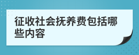 征收社会抚养费包括哪些内容