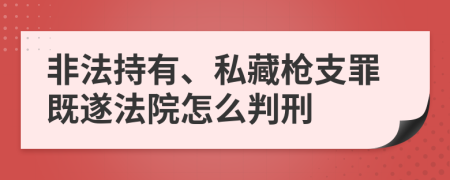 非法持有、私藏枪支罪既遂法院怎么判刑