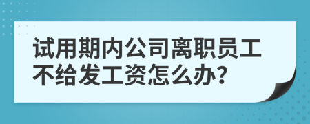 试用期内公司离职员工不给发工资怎么办？