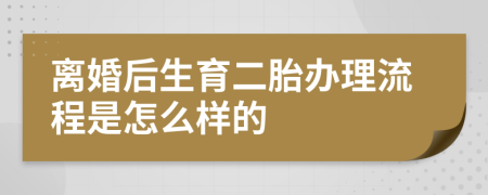 离婚后生育二胎办理流程是怎么样的