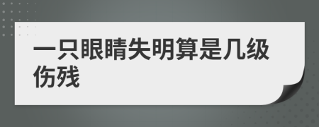 一只眼睛失明算是几级伤残