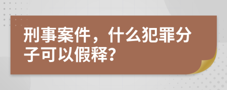 刑事案件，什么犯罪分子可以假释？