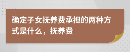 确定子女抚养费承担的两种方式是什么，抚养费