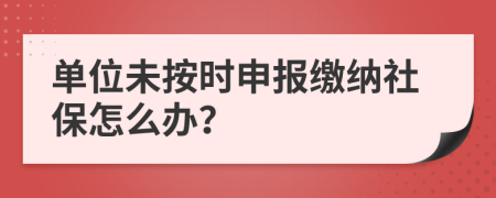 单位未按时申报缴纳社保怎么办？