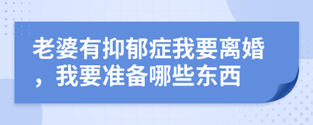 老婆有抑郁症我要离婚，我要准备哪些东西