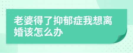 老婆得了抑郁症我想离婚该怎么办