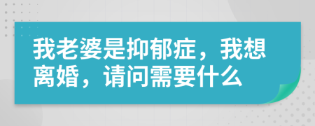 我老婆是抑郁症，我想离婚，请问需要什么