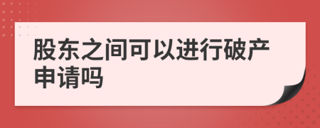 股东之间可以进行破产申请吗