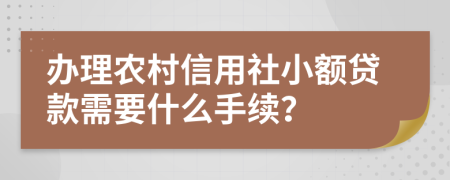办理农村信用社小额贷款需要什么手续？