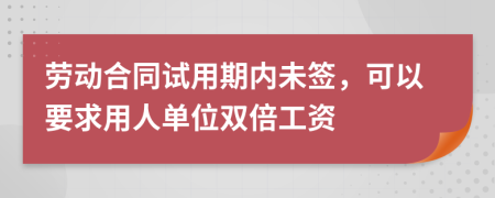 劳动合同试用期内未签，可以要求用人单位双倍工资