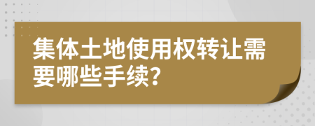 集体土地使用权转让需要哪些手续？