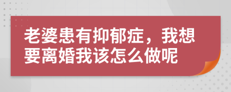 老婆患有抑郁症，我想要离婚我该怎么做呢