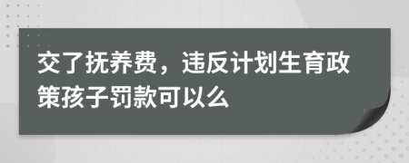 交了抚养费，违反计划生育政策孩子罚款可以么