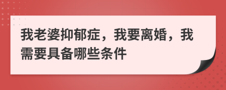 我老婆抑郁症，我要离婚，我需要具备哪些条件