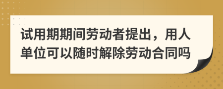 试用期期间劳动者提出，用人单位可以随时解除劳动合同吗