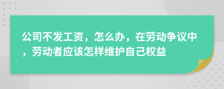 公司不发工资，怎么办，在劳动争议中，劳动者应该怎样维护自己权益