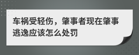 车祸受轻伤，肇事者现在肇事逃逸应该怎么处罚